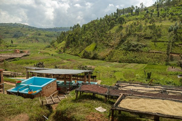 Quelles sont les meilleures pratiques pour recycler les déchets électroniques à domicile ?