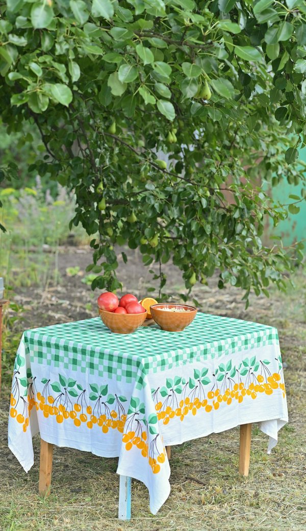 Découvrez l'élégance des toiles de jouy pour votre table